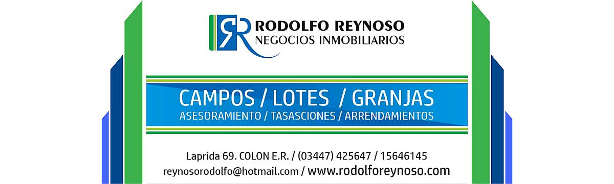 13 HA. en Colonia San Anselmo (colón - ER)