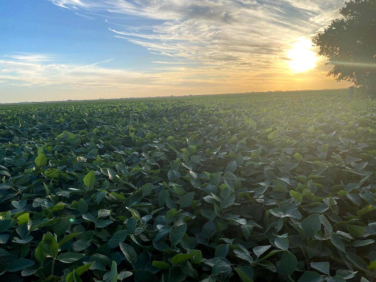 Vendo Campo en Frentones Chaco
