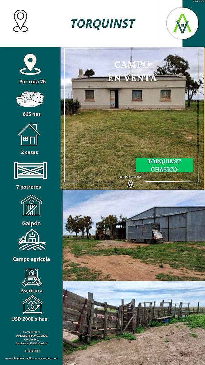 Campo en Chasico - Torquinst 665 Has