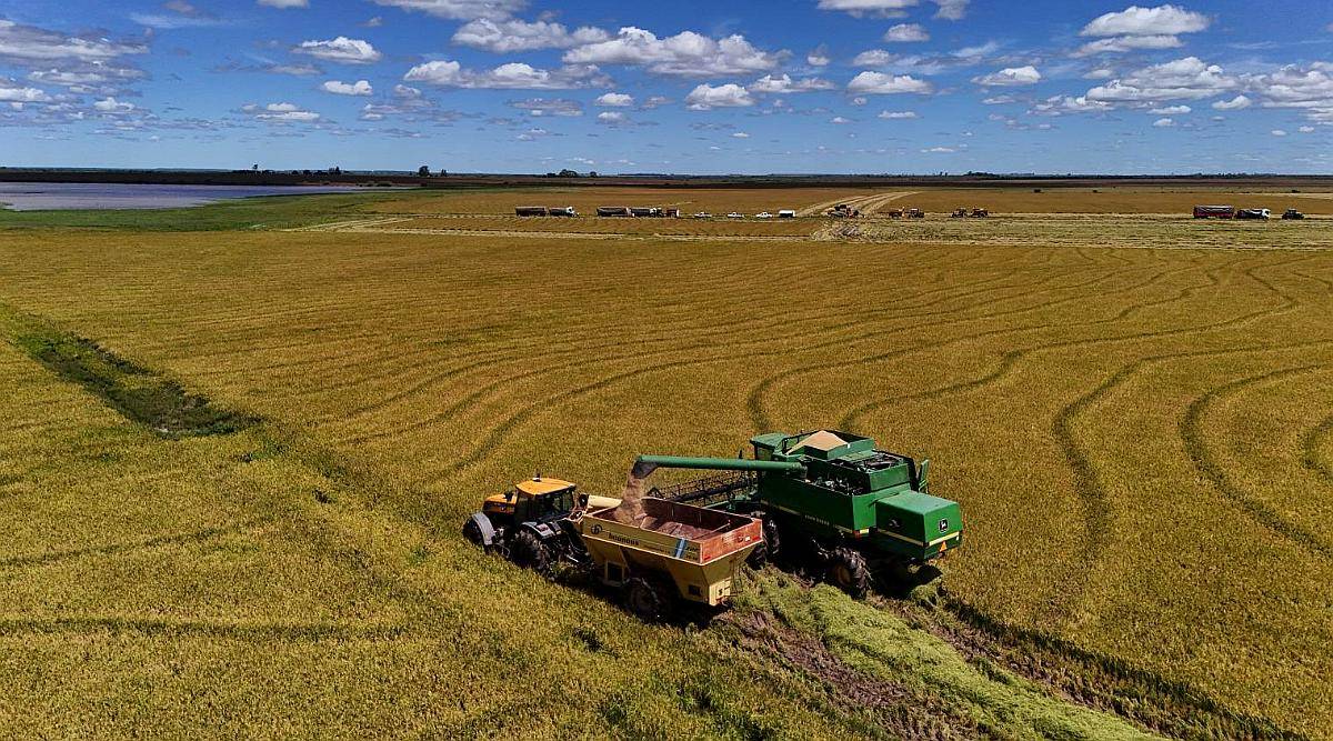 Mercedes, Corrientes - 4.050 Ha