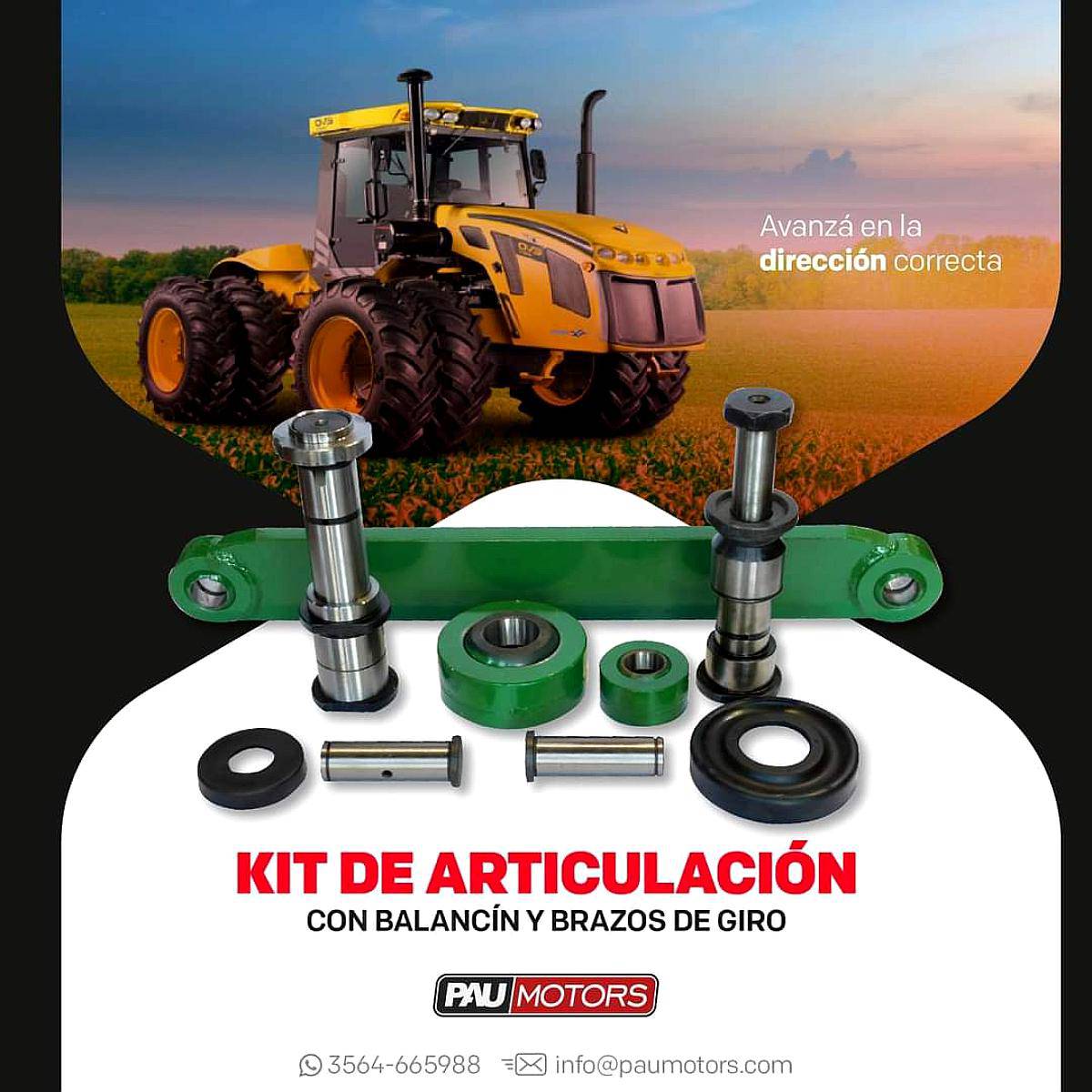 Kit de Articulacion Zanello Pauny