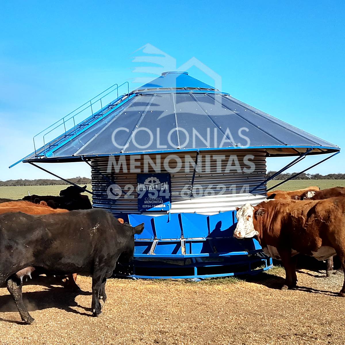 Silos Comedero Base Reforzada - Colonias Menonitas