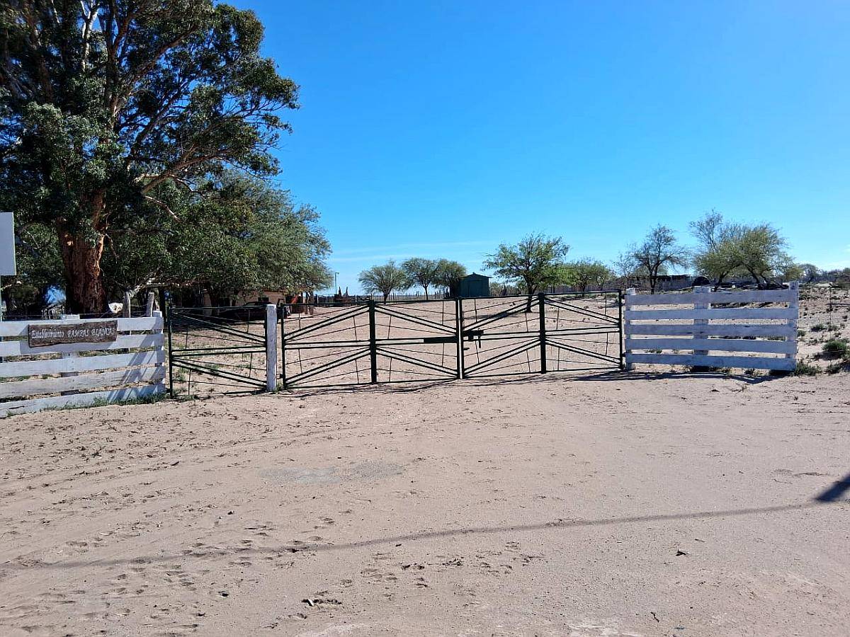 Campo Ganadero Pampas Blancas, en la Rioja, 11500 Has