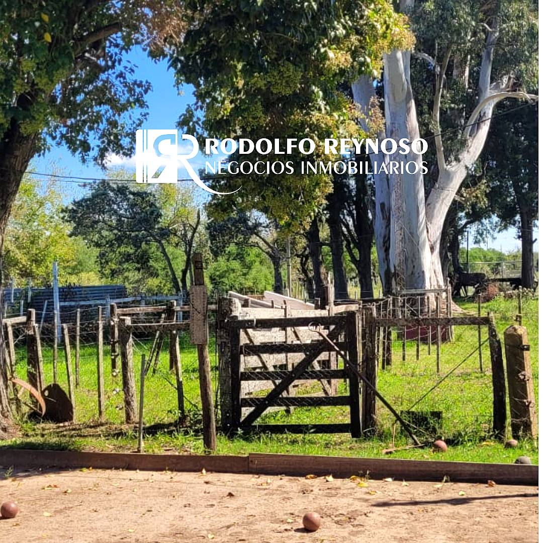 7 HA. en Gualeguaychú - Sobre Ruta 20