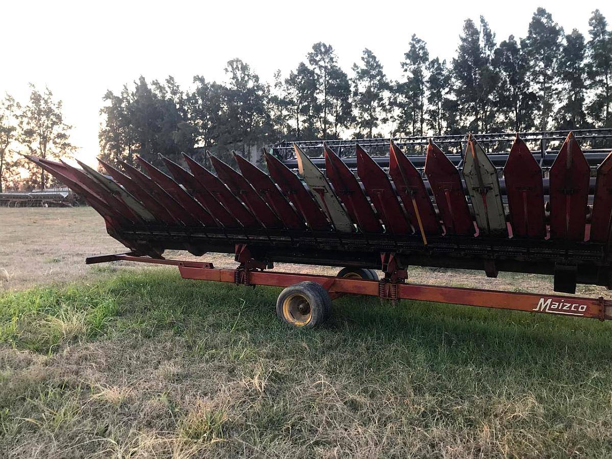 Se Vende Girazolero 10 a 52cm