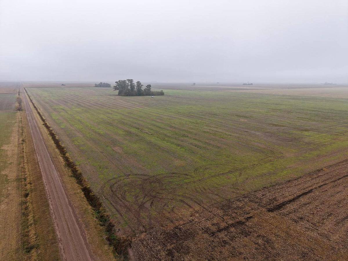 30 HA. Agrícola Suelo Clase 1. Muñoz (santa FE)