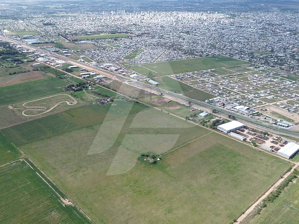 🌾 Campo en Alquiler/venta – Río Cuarto (córdoba)
