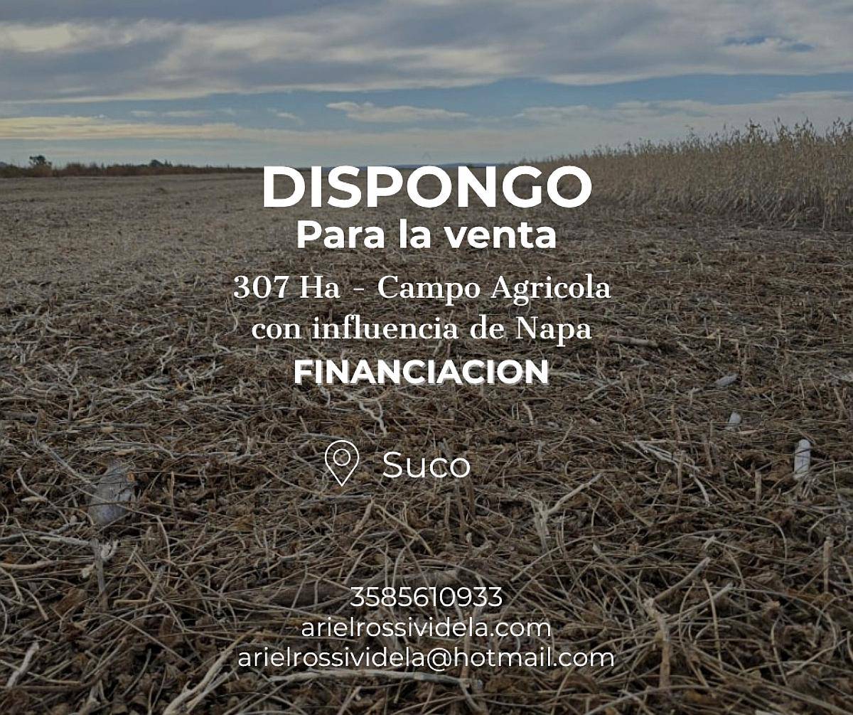 Vendo 307 Ha Agricolas en Suco