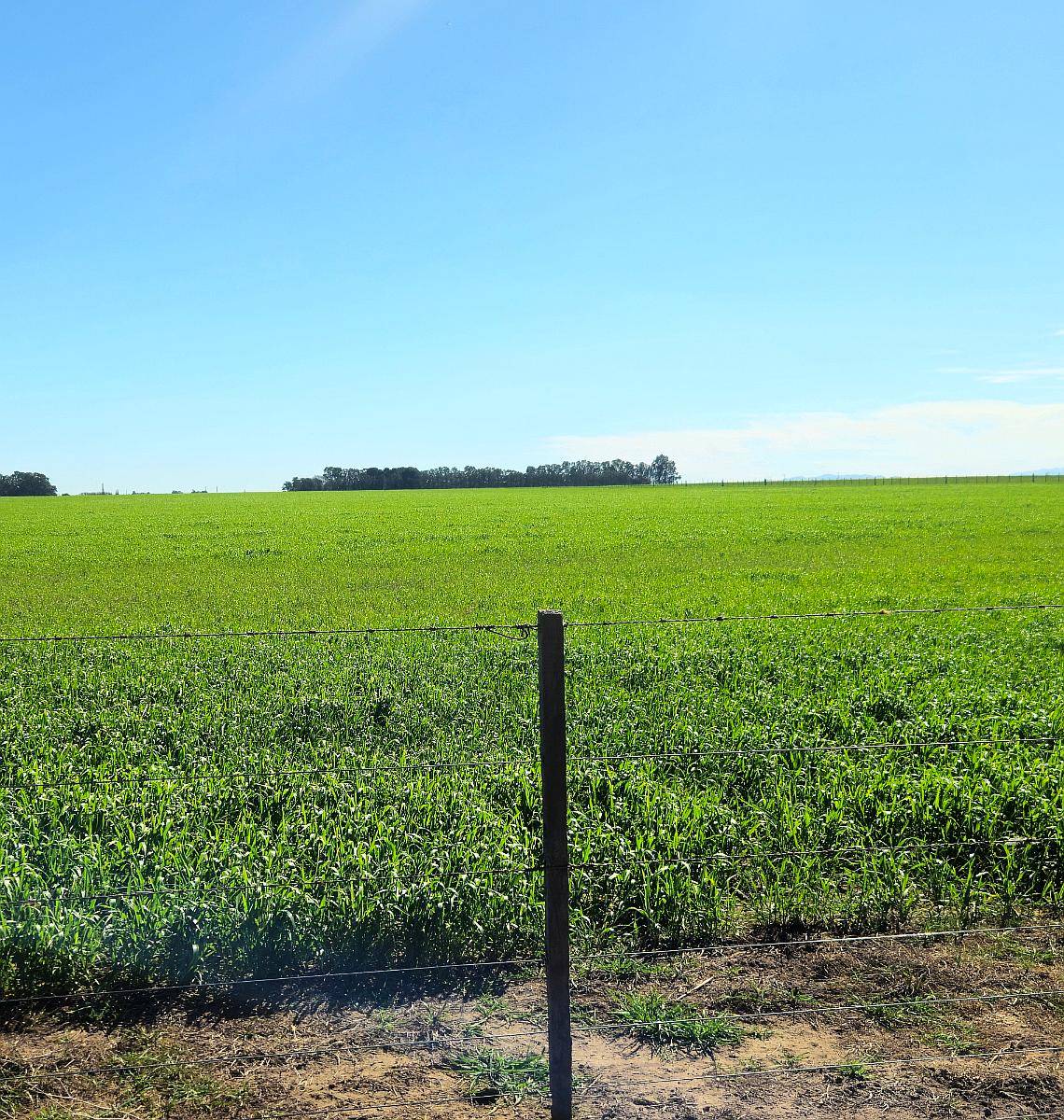 900 Ha Cabildo, Buenos Aires