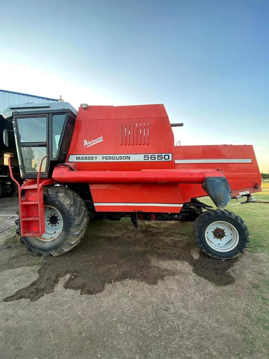 Cosechadora Massey Fergusson 5650, año 2003, 6.500 HS,
