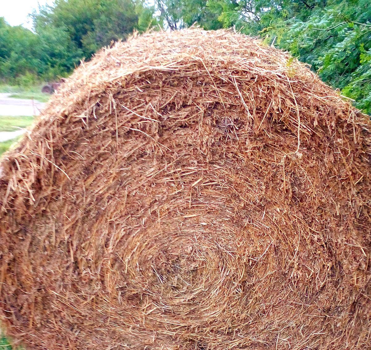 Rollos de Alfalfa muy Buenos