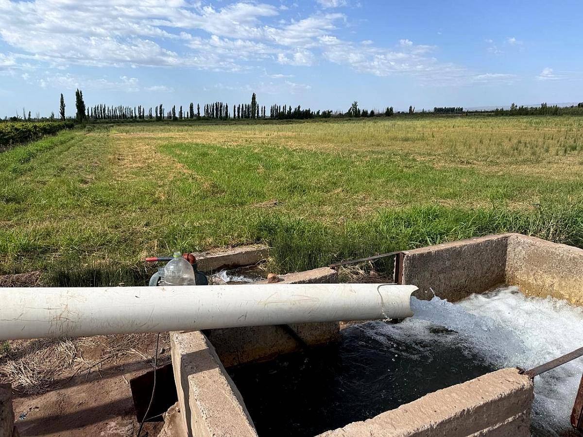 Finca 21.5 Ha en San Roque, Maipú