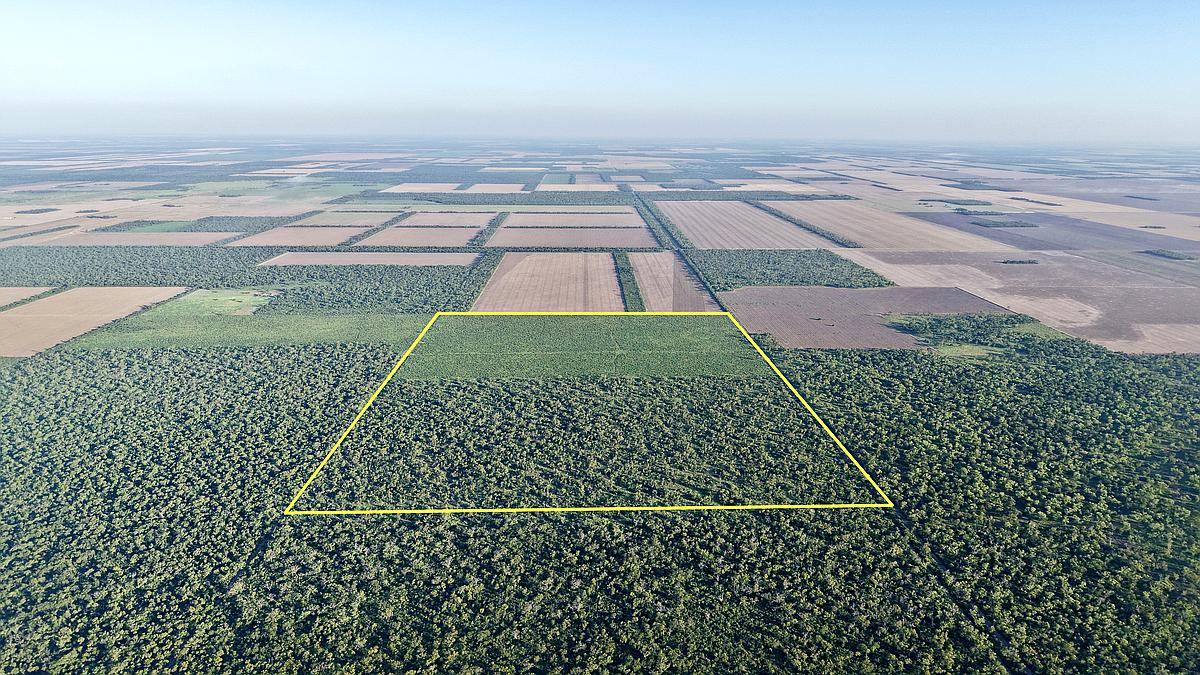 150 Has en Venta - Pcia del Chaco, las Breñas