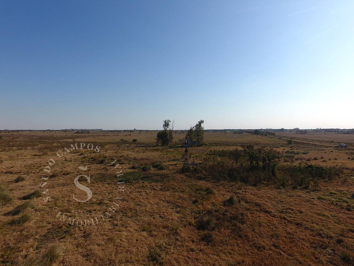 Campo Mixto. 137 HA. Providencia, Santa FE