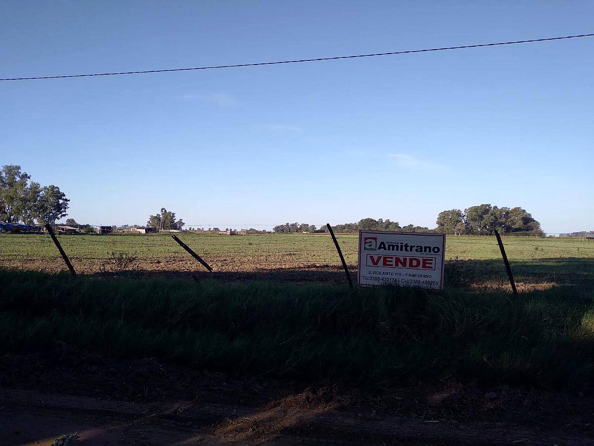 Quinta 10 Hectareas en Ameghino