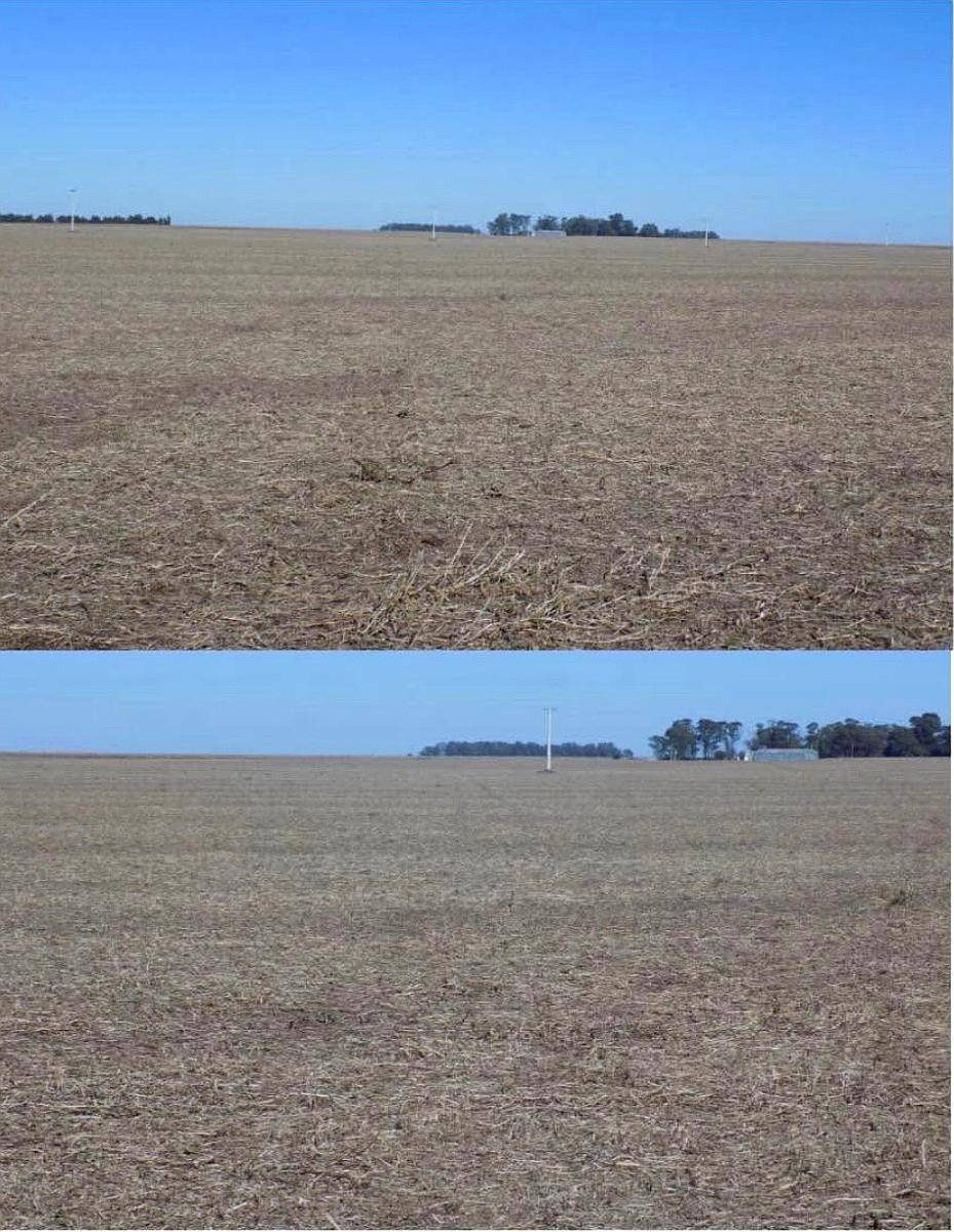 Vendo 67 Hectáreas Agrícolas en Adelia María Córdoba