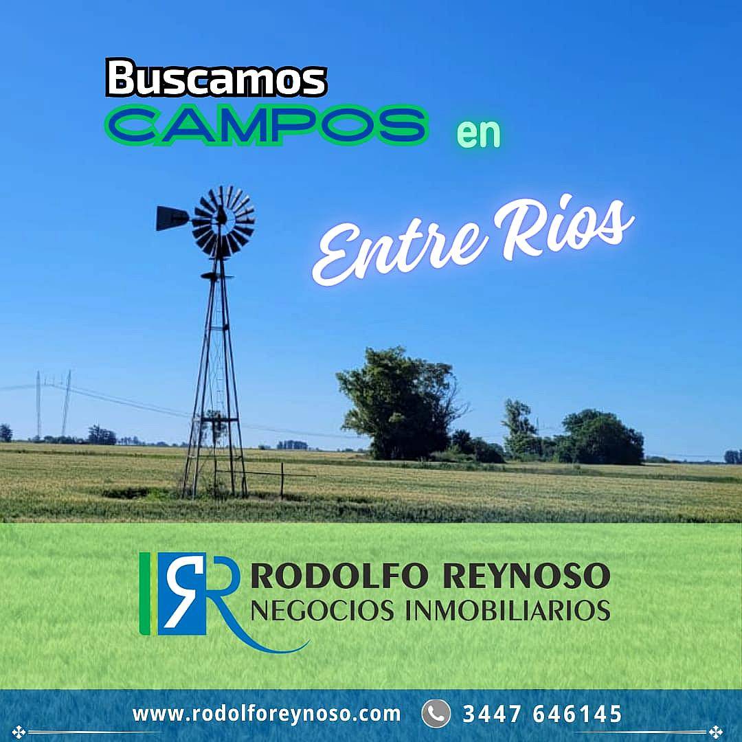 Buscamos Campos en Entre Ríos