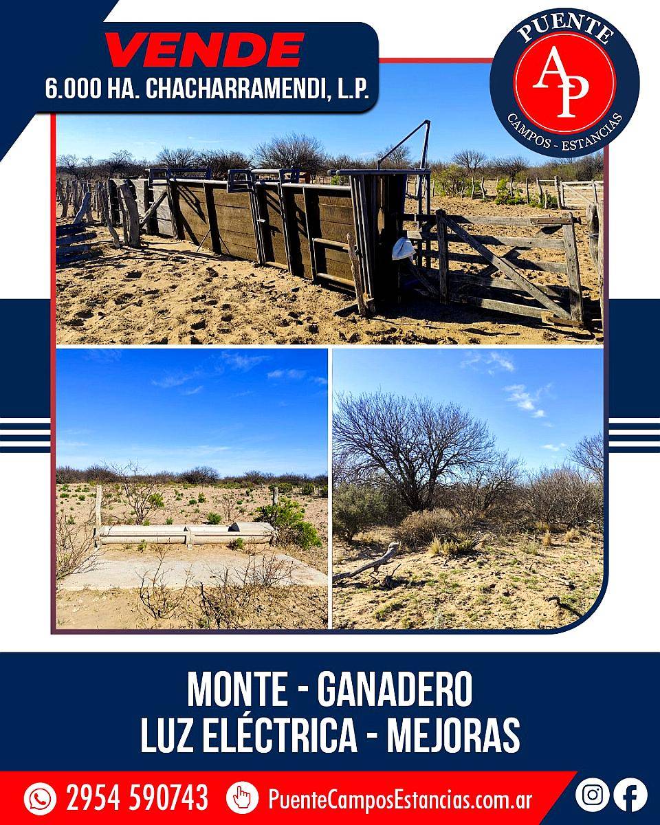 En Venta 6000 HA. Chacharramendi, L.P