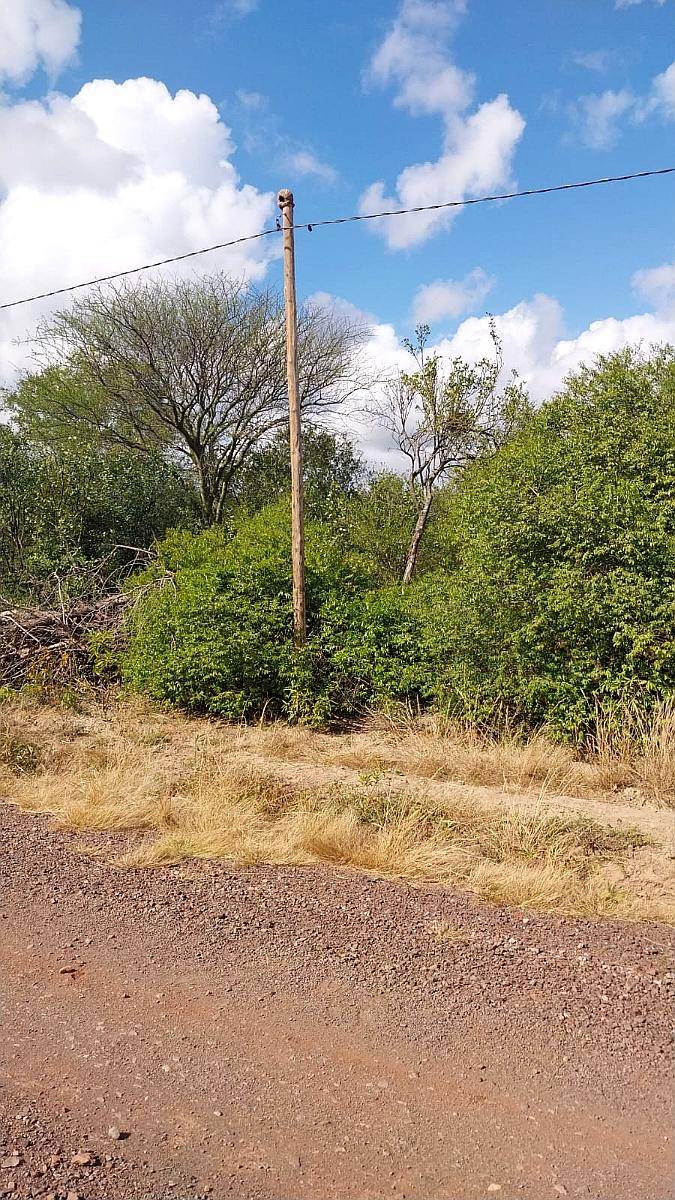Vendo Campo de 500 Hs en Santiago del Estero