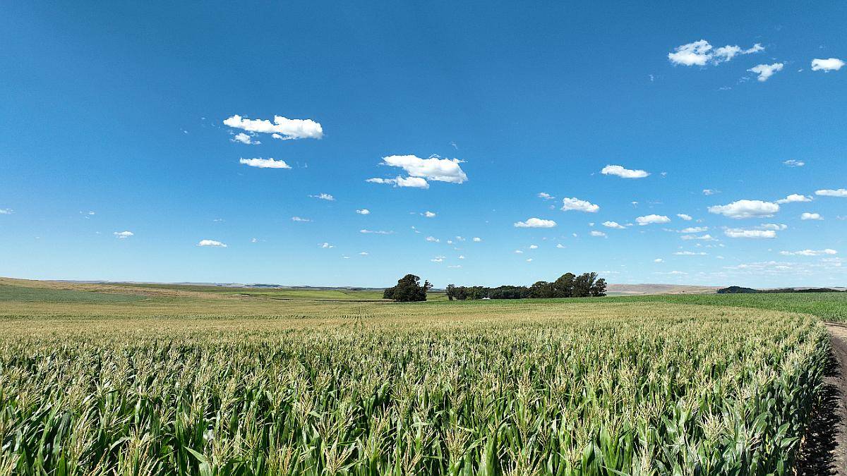 851 Has. Campo Agrícola en Tandil