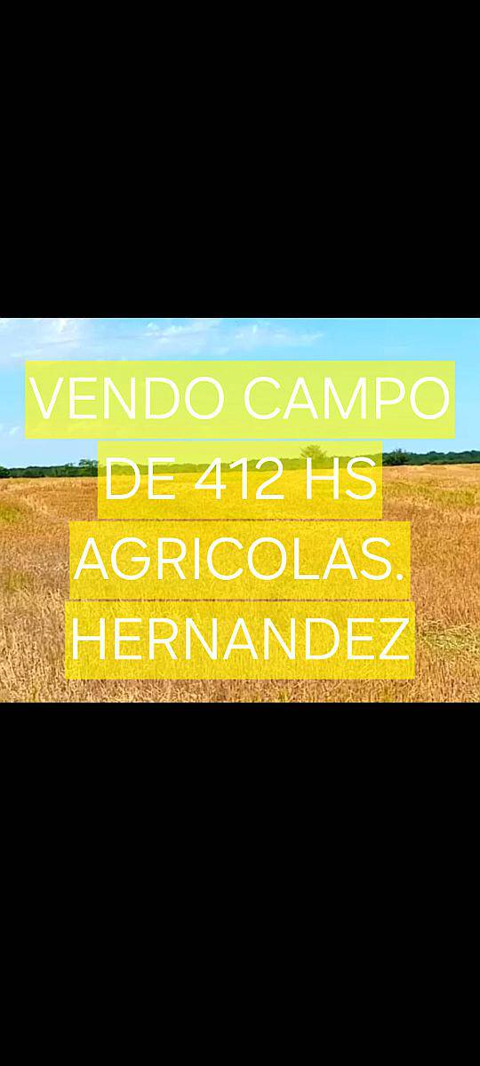Vendo 412 Ha en Algarrobitos Hernandez, Agricola