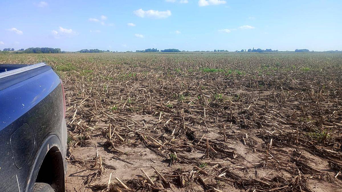 Victoria, 20 Has Agricolas