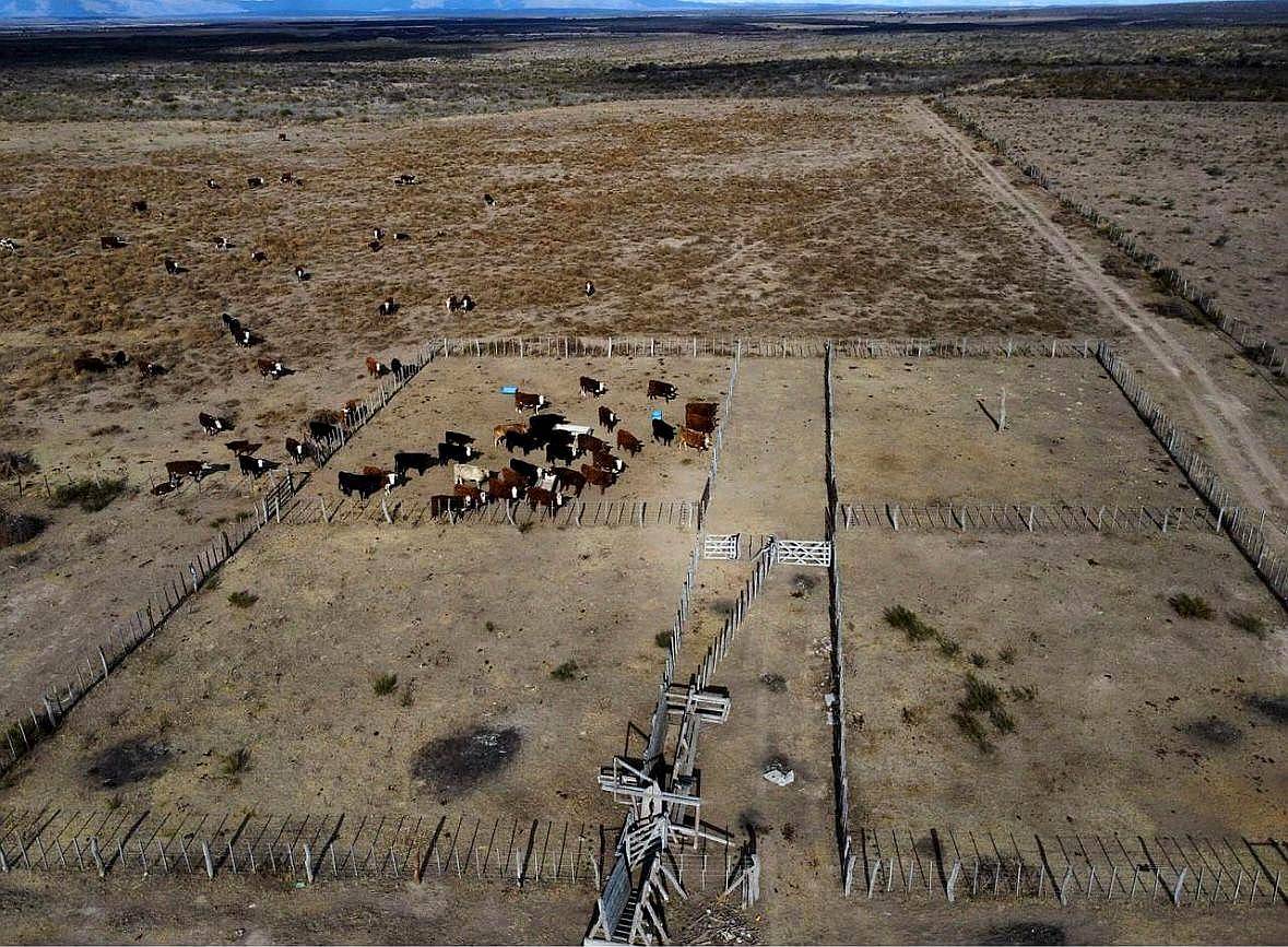 Campo en Venta - Renca/tilisarao (san Luis)