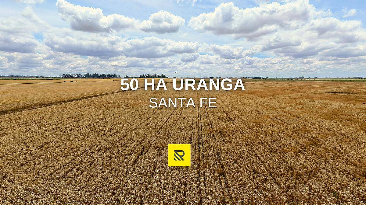 50 Ha Uranga Santa FE