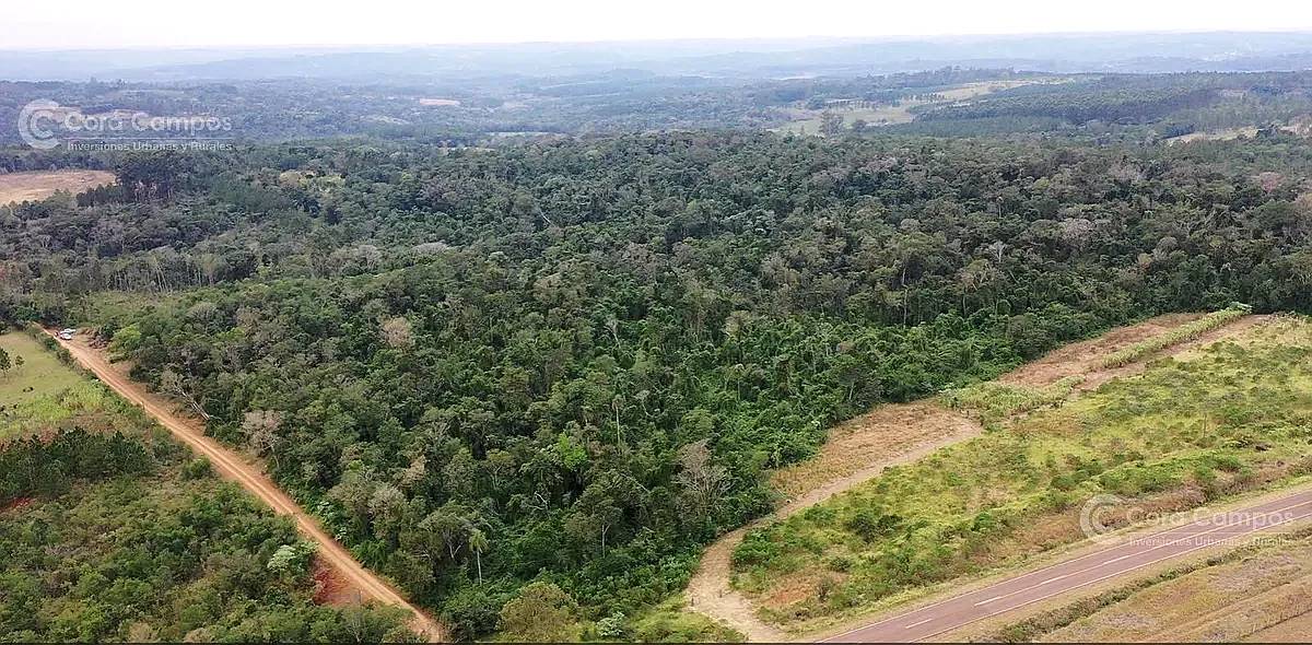 Chacra en Venta de 25ha en Olegario Victor Andrade