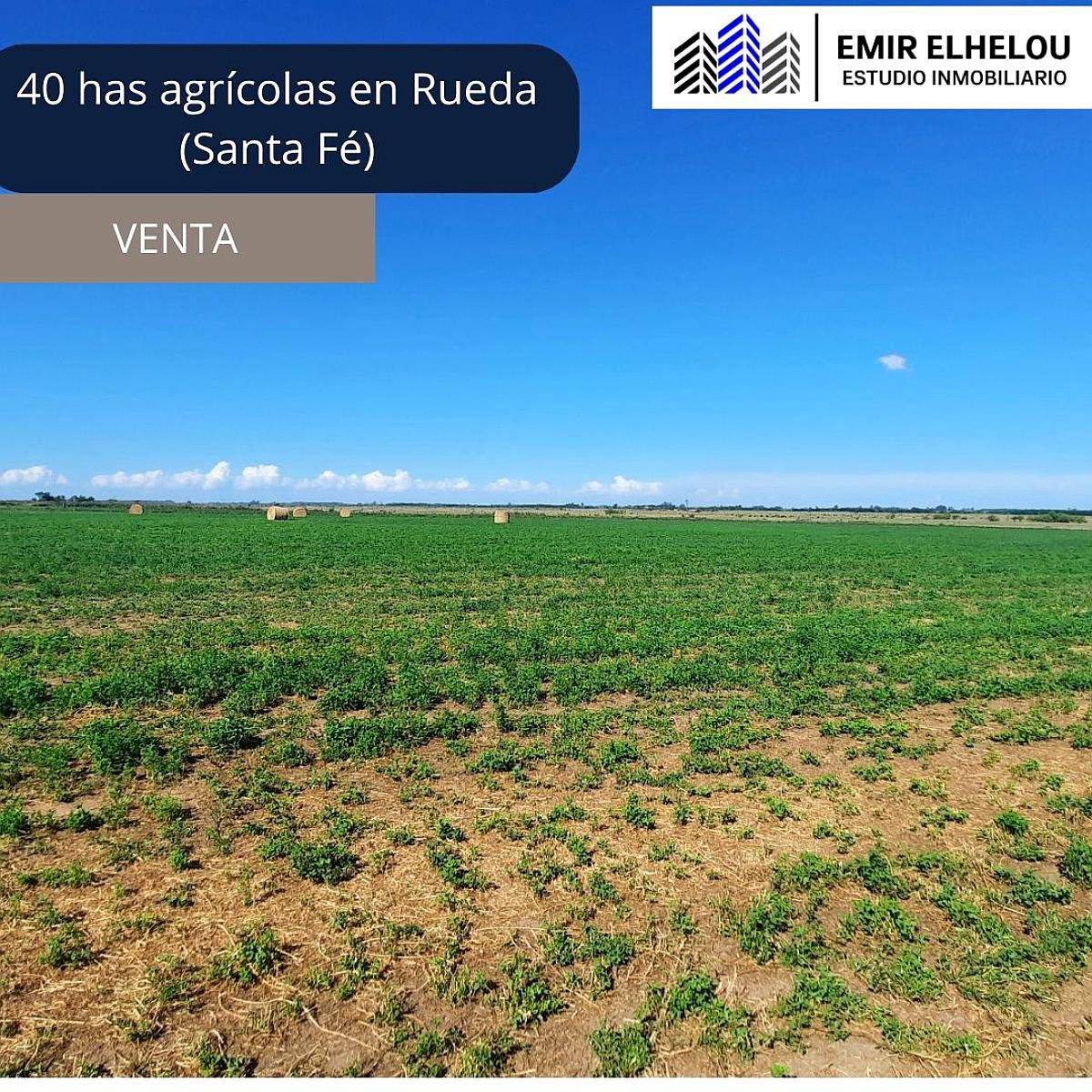 Campo Agrícola de 40 Hectáreas en Rueda (santa FE)