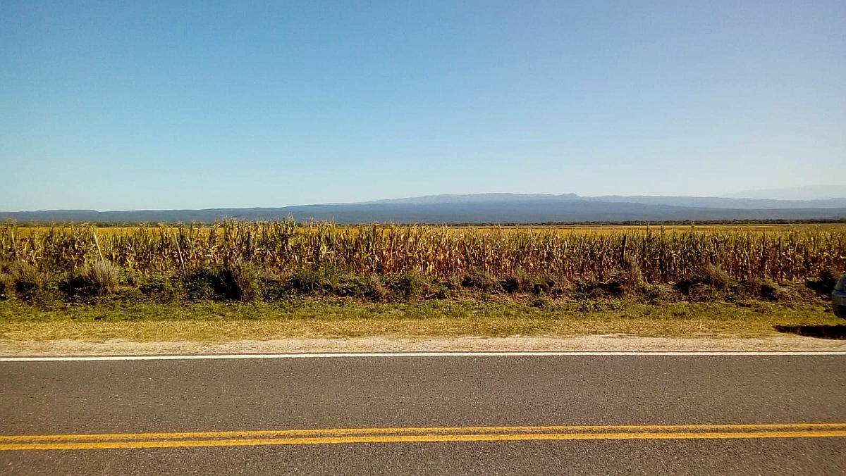 Bañado de Ovanta Oportunidad 437 Hectareas Agricolas S/ruta