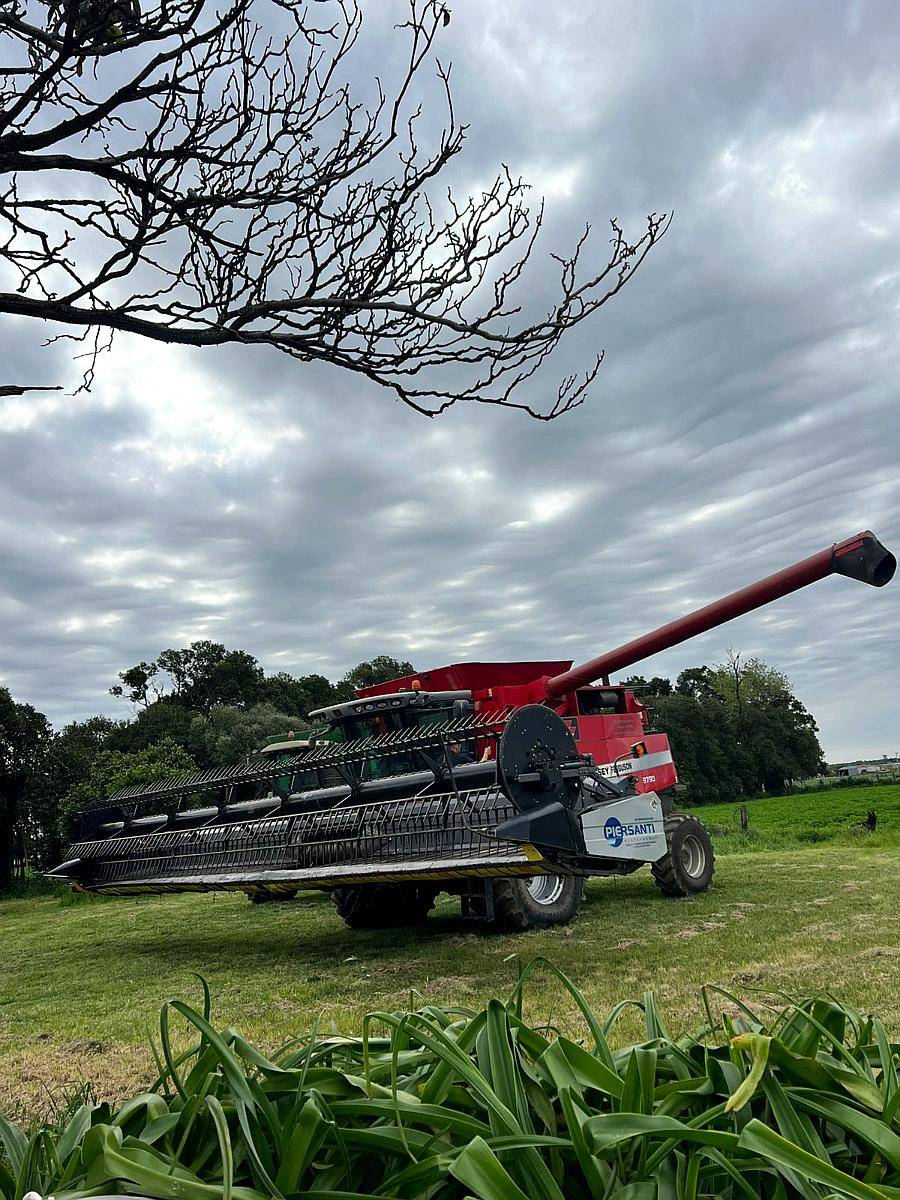 Cosechadora Massey Ferguson 9790 375 HP Draper 35 2012