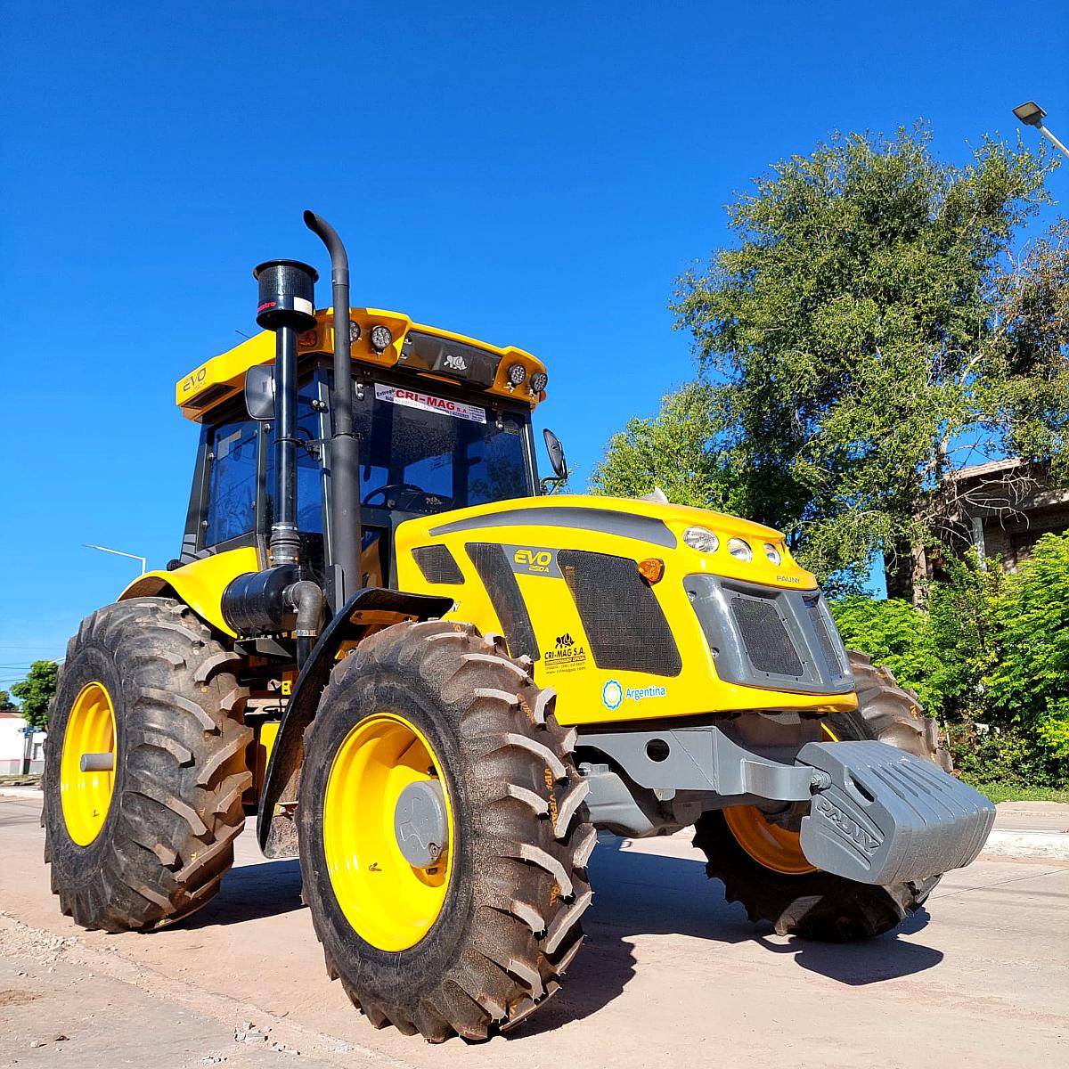 Pauny 250 a - DT - Año: 2014 - Cabina Full - 23.1x30