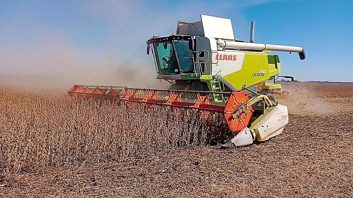 Claas Lexion 750 Orugas. Plat 40 Pies. M7900. R5600. Reparad