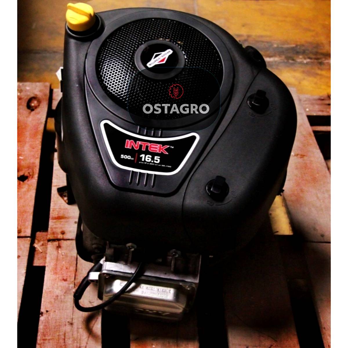 Motor BYS 16.5 Hp-vertical 500 Cc.-eje 1 X 3.157