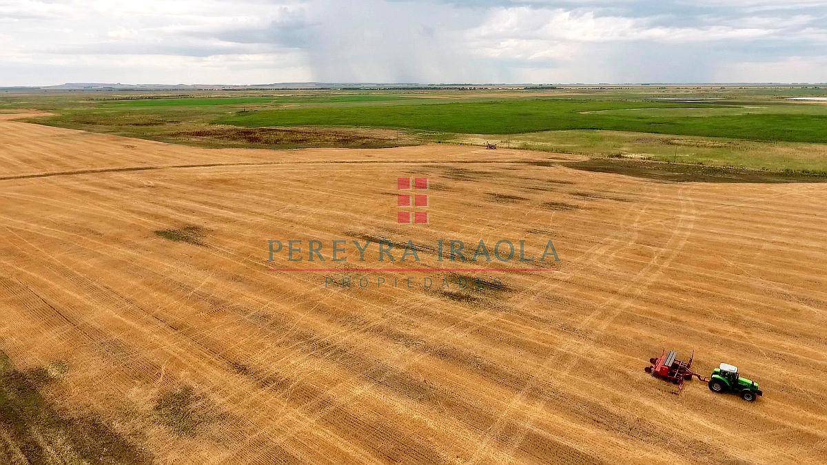 Excelente Campo Mixto en Venta. Juan N Fernandez - Necochea