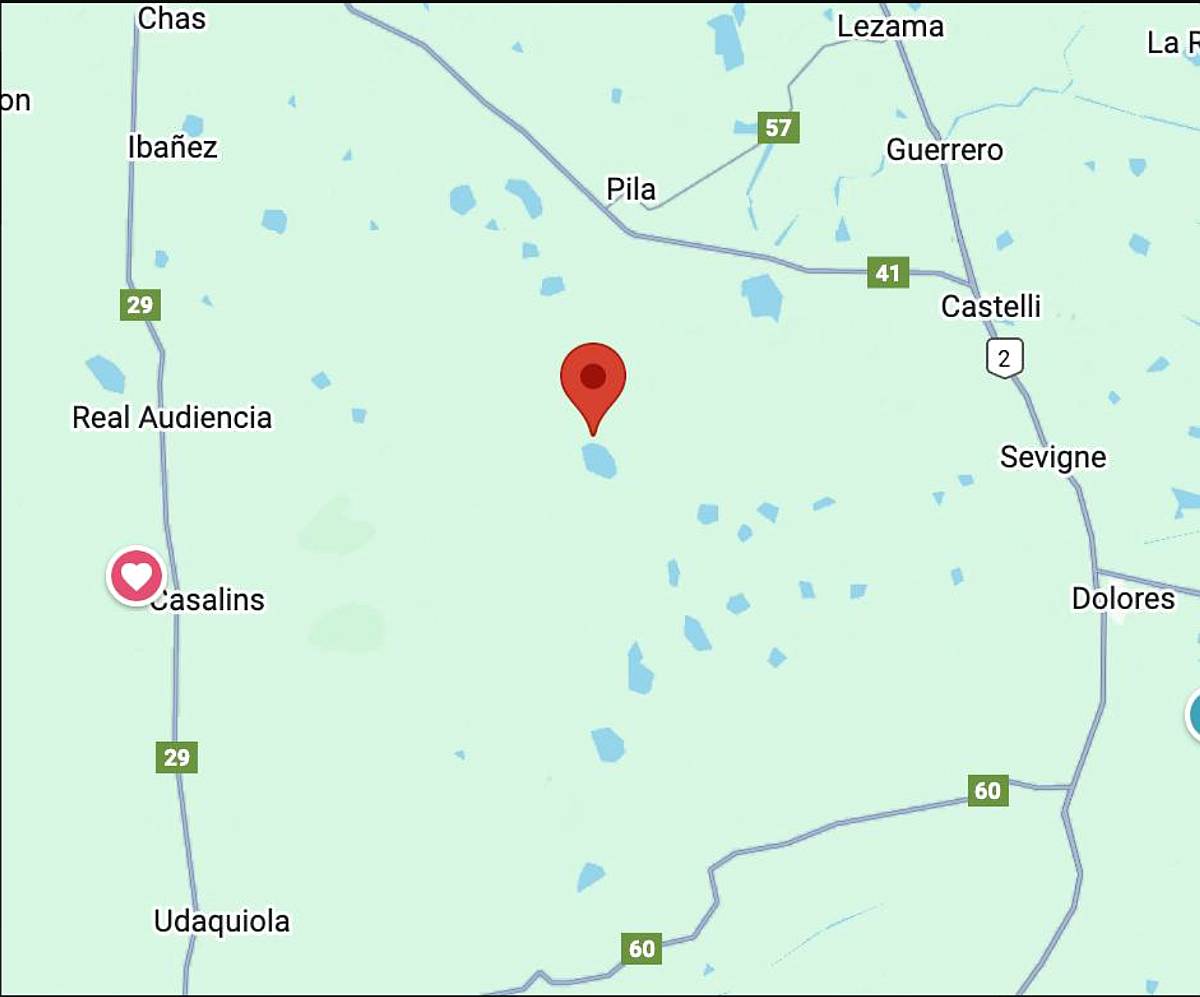 Oportunidad - Arrendamiento Campo Ganadero 1400 Ha