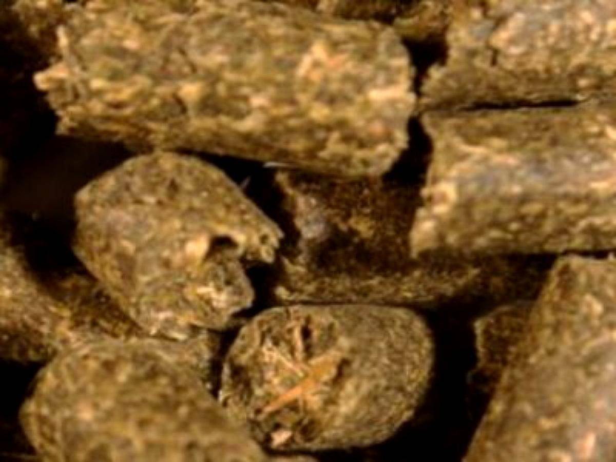 Pellet de Girasol - Lasna Insumos