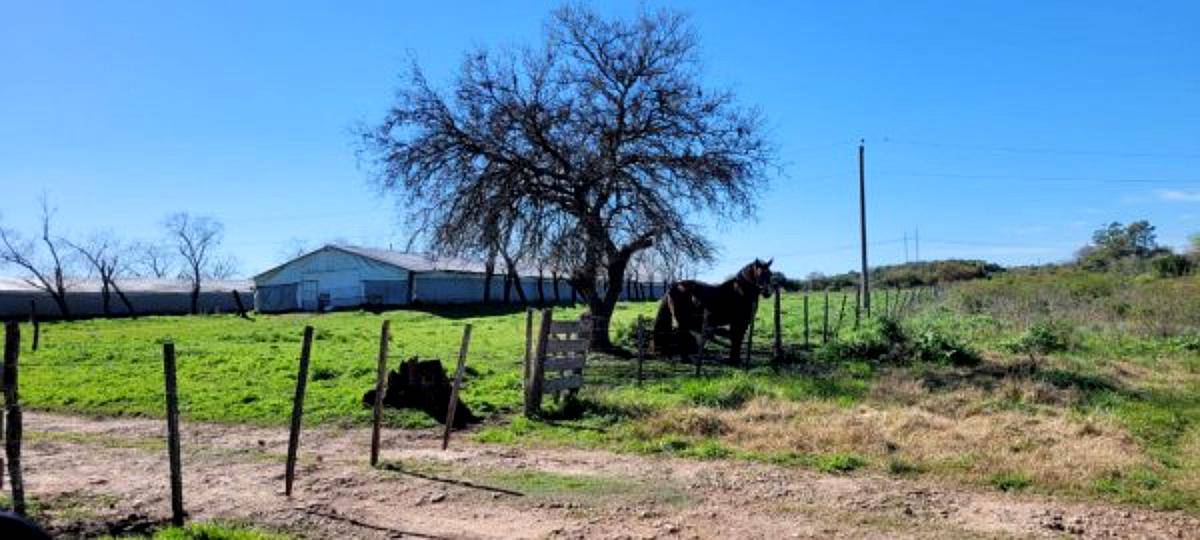 Campo de 16 Hectáreas. (dto Uruguay - E. Ríos)