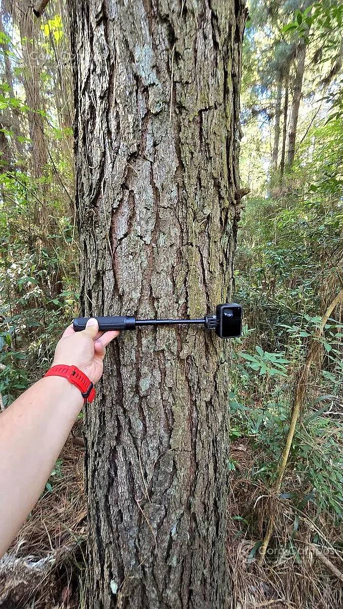 Se Vende 60 Ha con Pino y Arroyo Misiones.