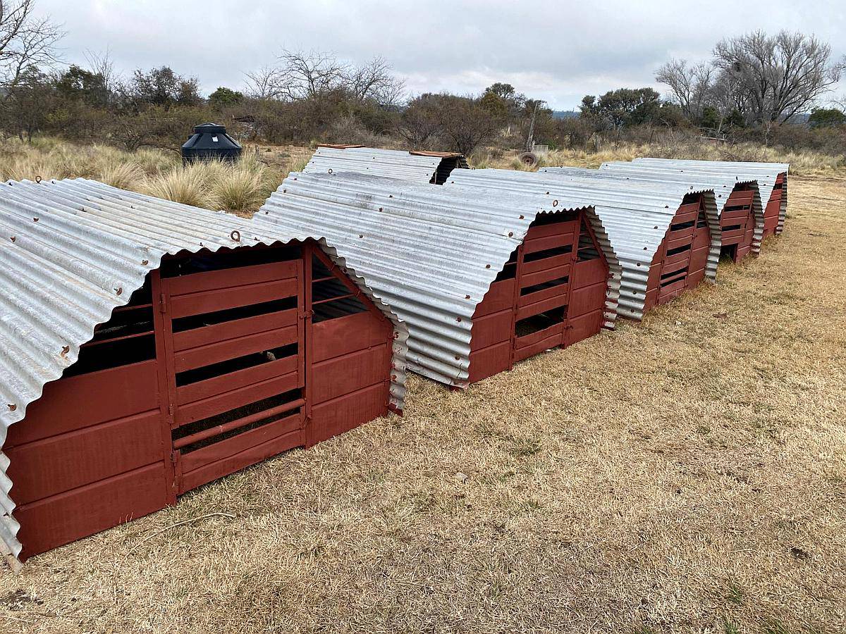 Parideras de Chapa para Cerdas