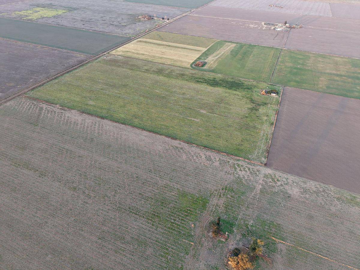 17 Has Agricolas en San Genaro. Excelente Lote. Serie Clason