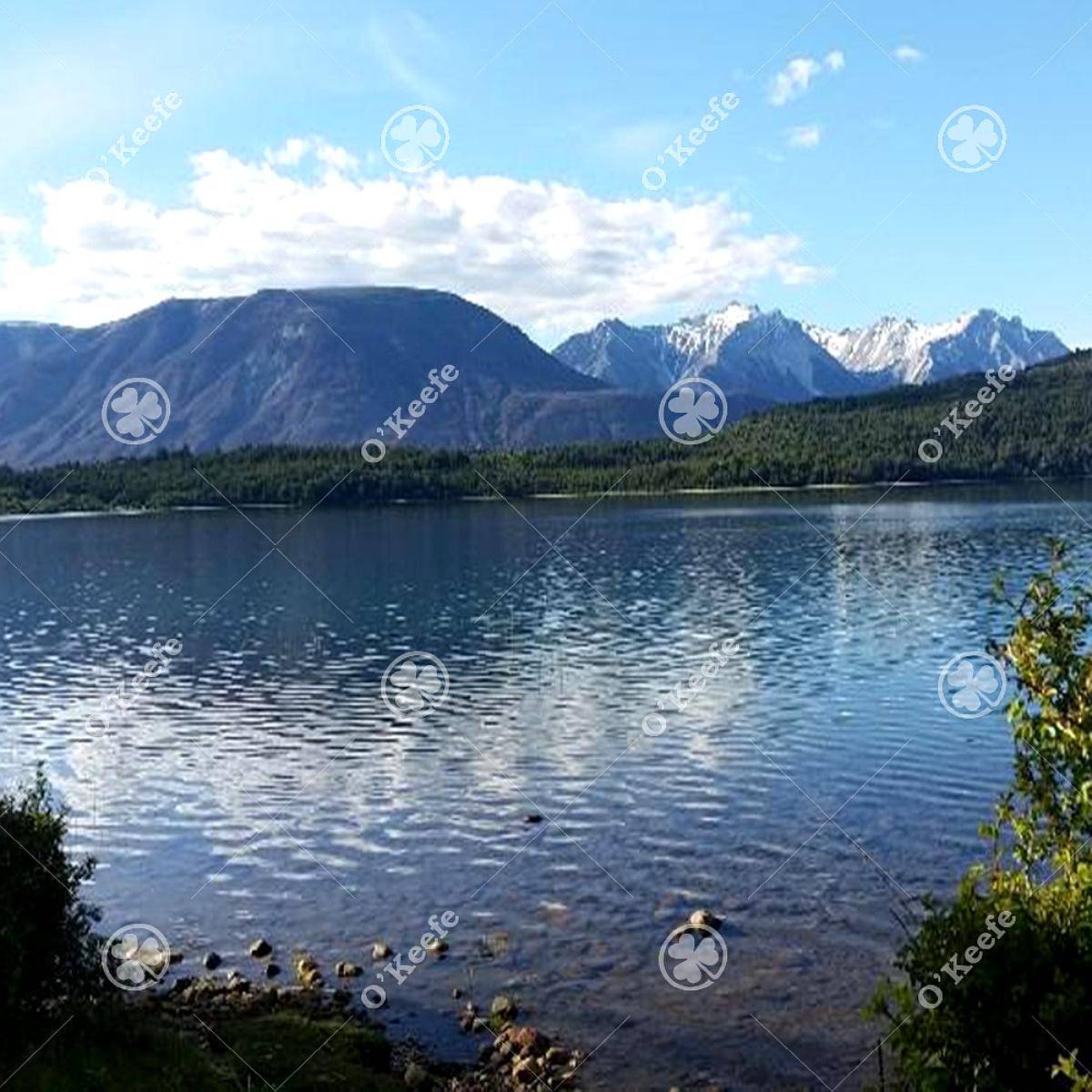 Chacra en Venta 9 Has con Costa Lago Lezana, Cholila, Chubut