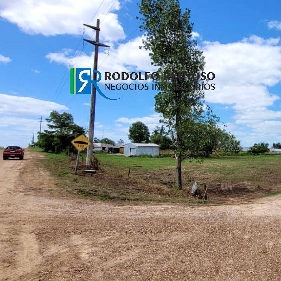 6 Mil M2 S/autovía 14, Colón ER