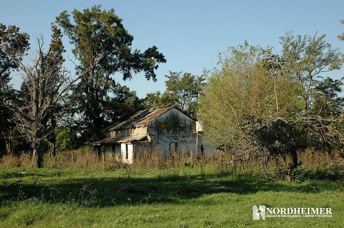 Cañuelas , G.b.a. Zona Sur, Argentina