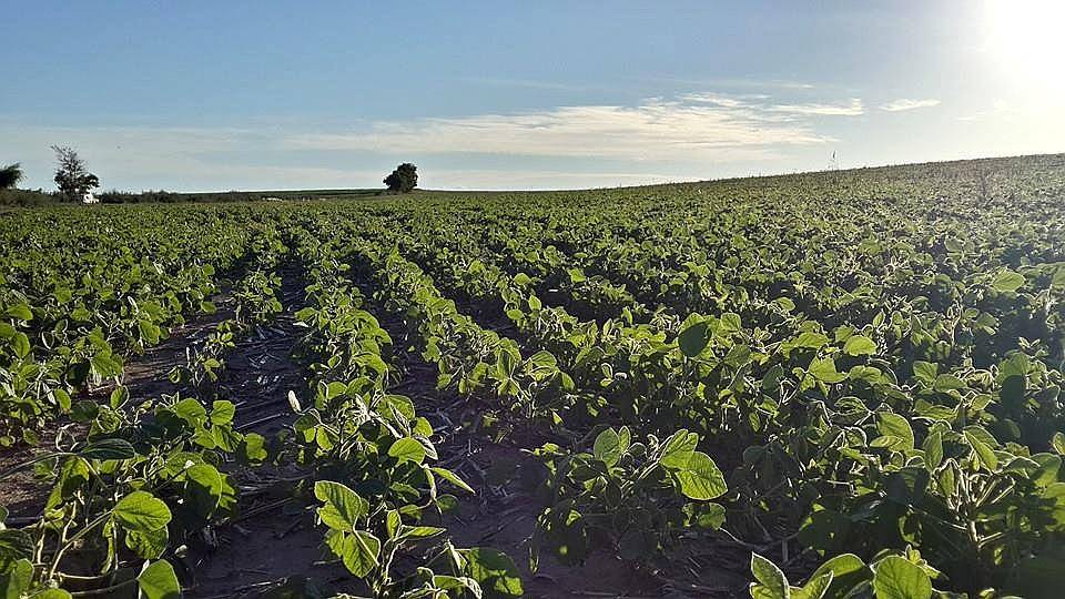 Campo en San Luis. Ubicación Estratégica e Infraestructura