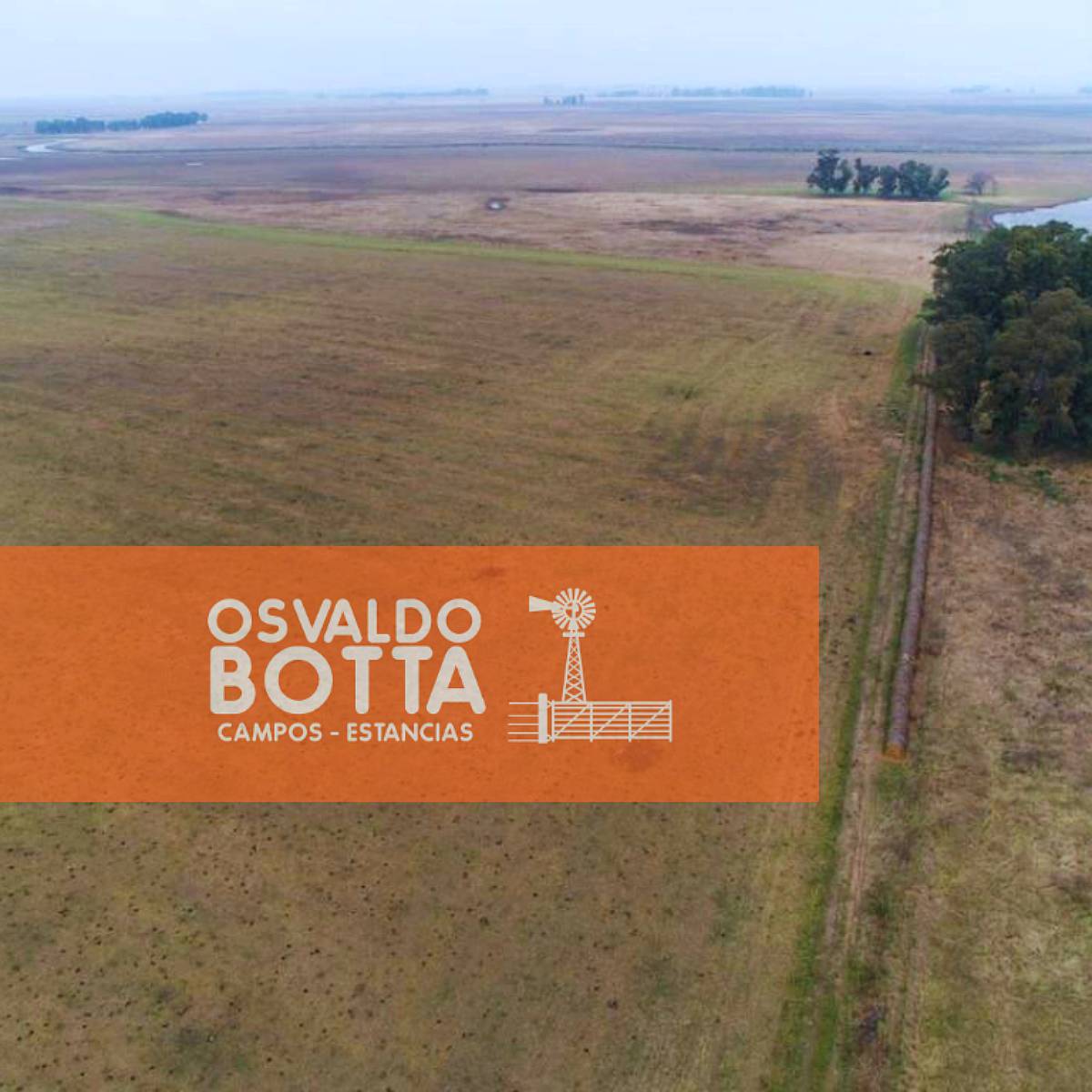 450has Mixtas en Bolivar, Buenos Aires