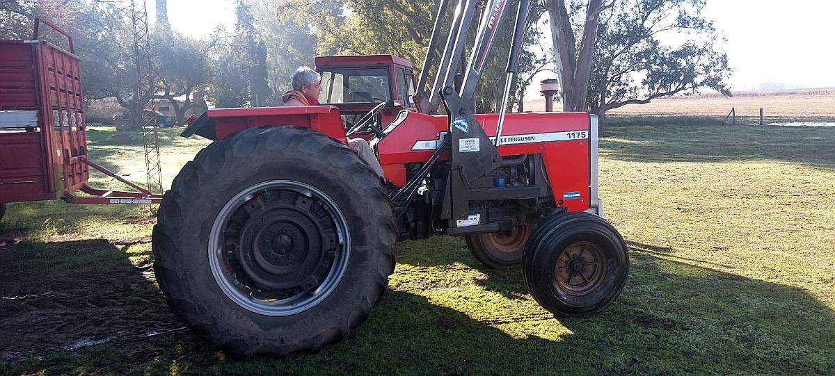 Tractor Massey Ferguson 1175 - Pala Ceibo - Doble Hidráulico