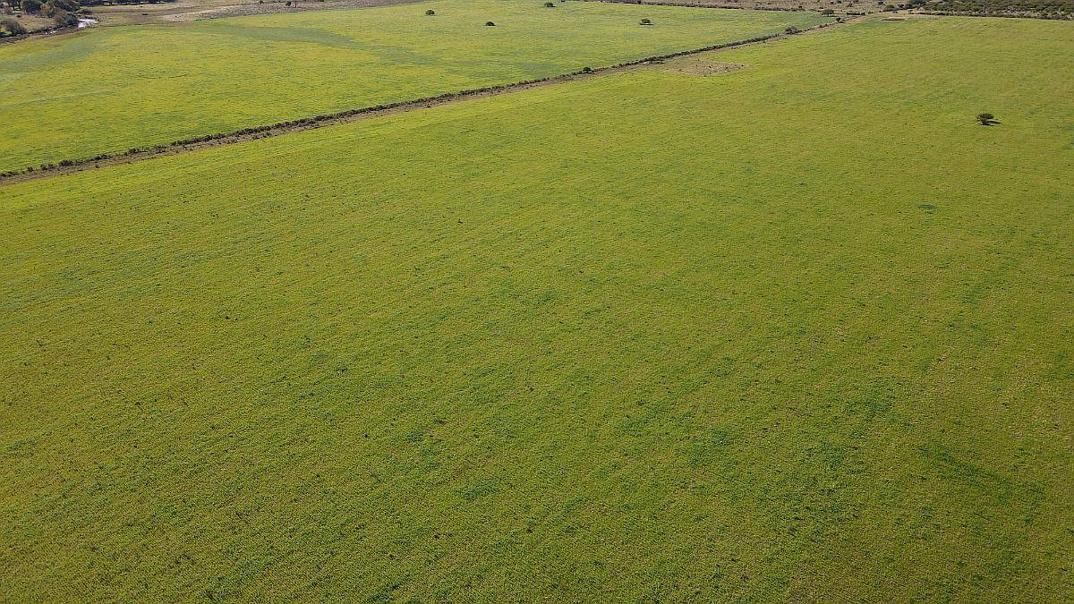 280 Hectáreas Agrícolas, Todas las Mejoras. Gualeguaychú.