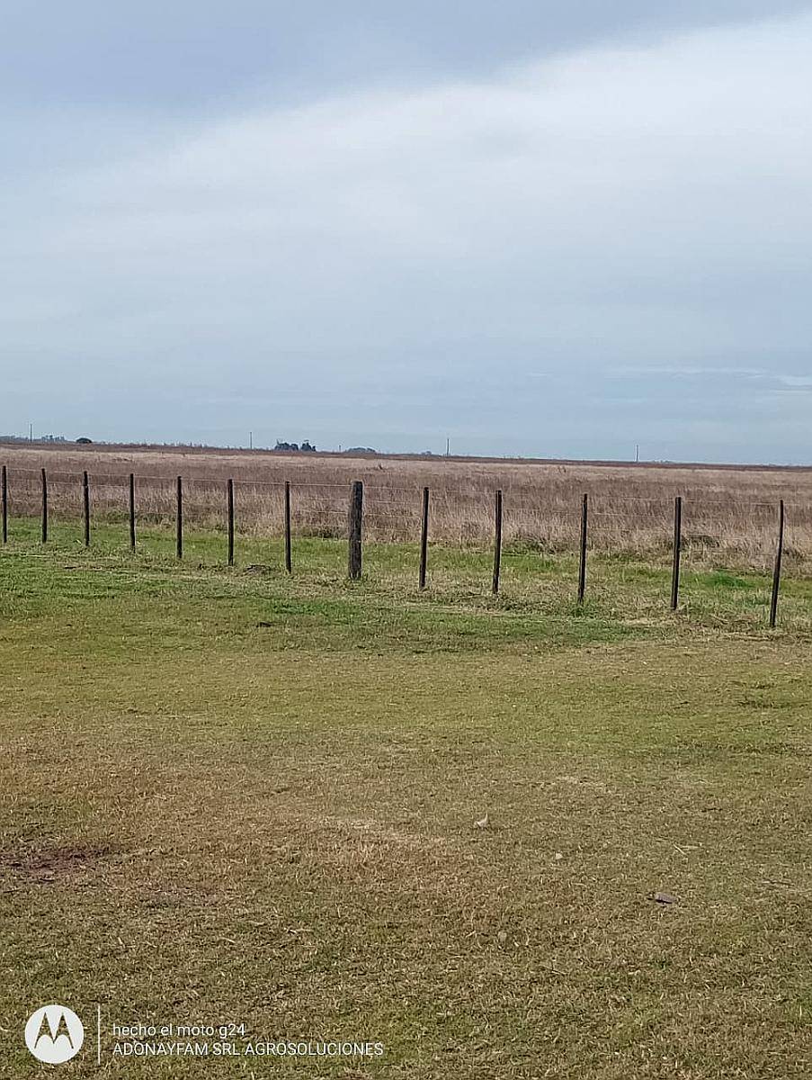 Campo de 177 Hectareas de Aptitud Mixto Ubicado en Ayacucho